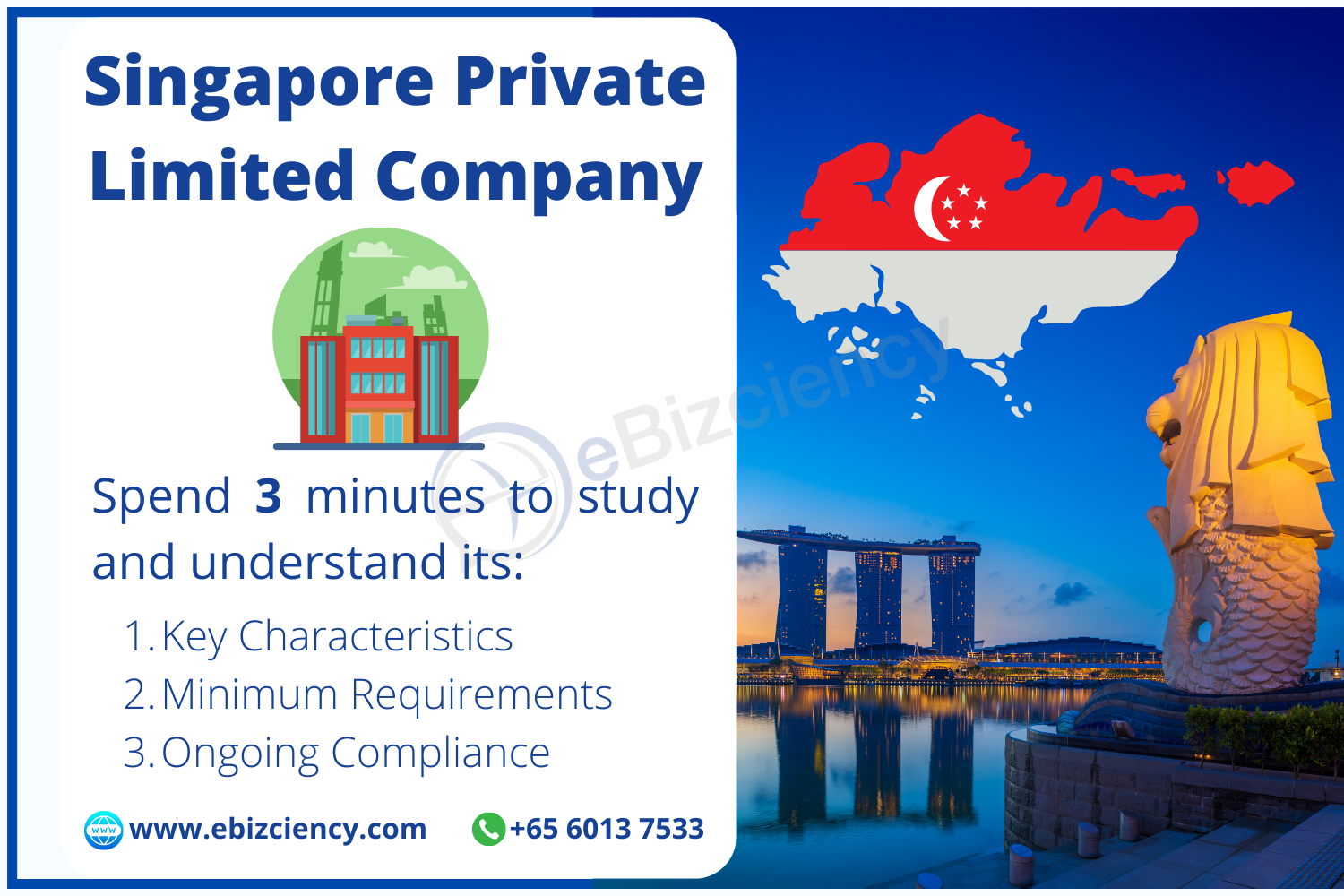 Spend 3 Minutes To Study And Understand A Singapore Private Limited ...